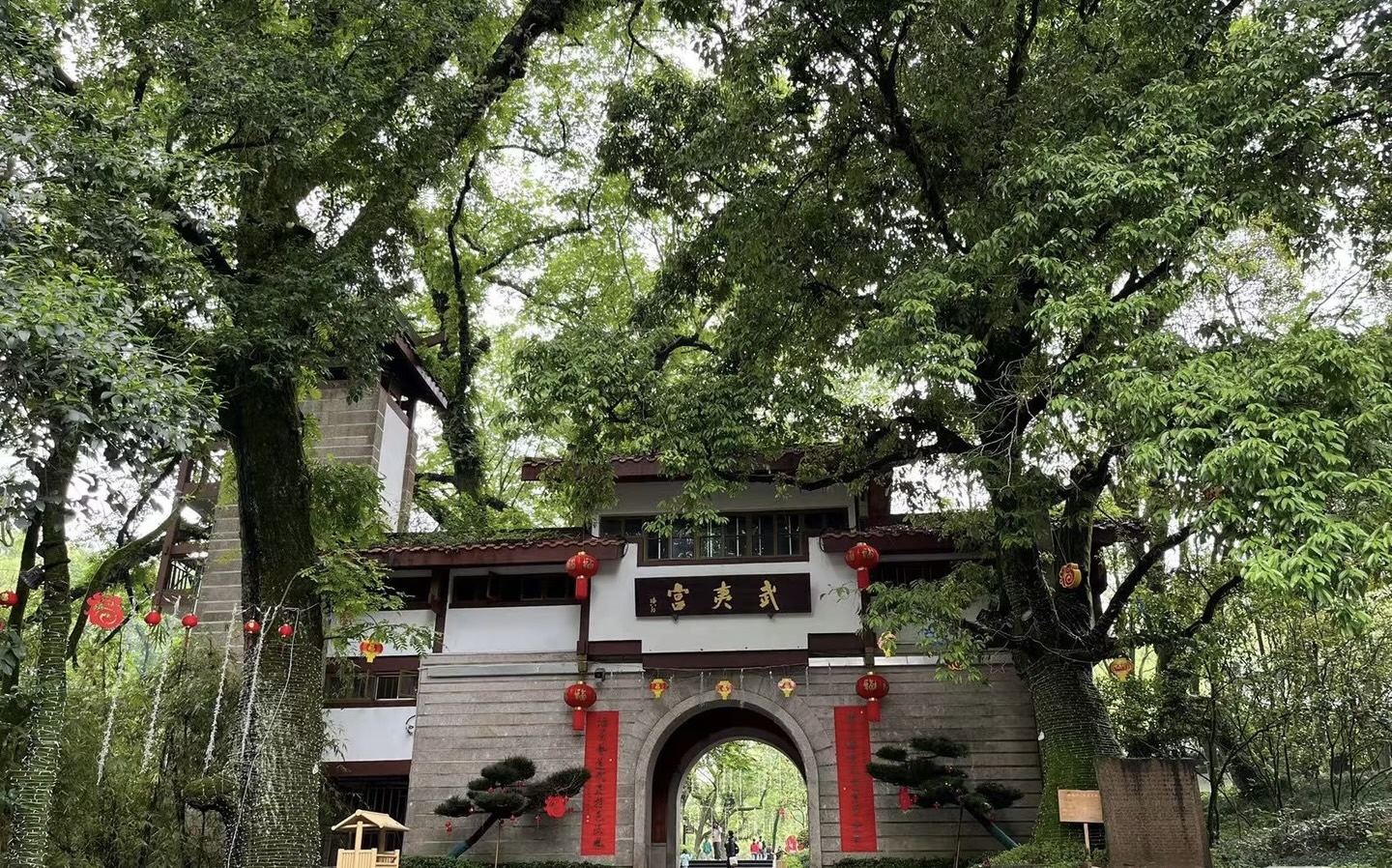 8天6晚 武夷山+舌尖上的福建 (8D6N WUYISHAN & FUJIAN)