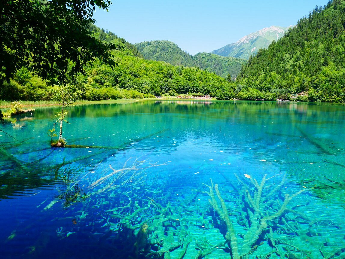 7天5晚 印象川渝. 神奇九寨 (7D5N CHONGQING + JIUZHAIGOU) - EX PEN