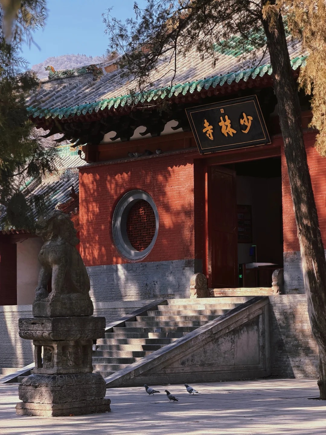 7天5晚 西安河南. 智行中国 (ZHENG ZHOU XI'AN)