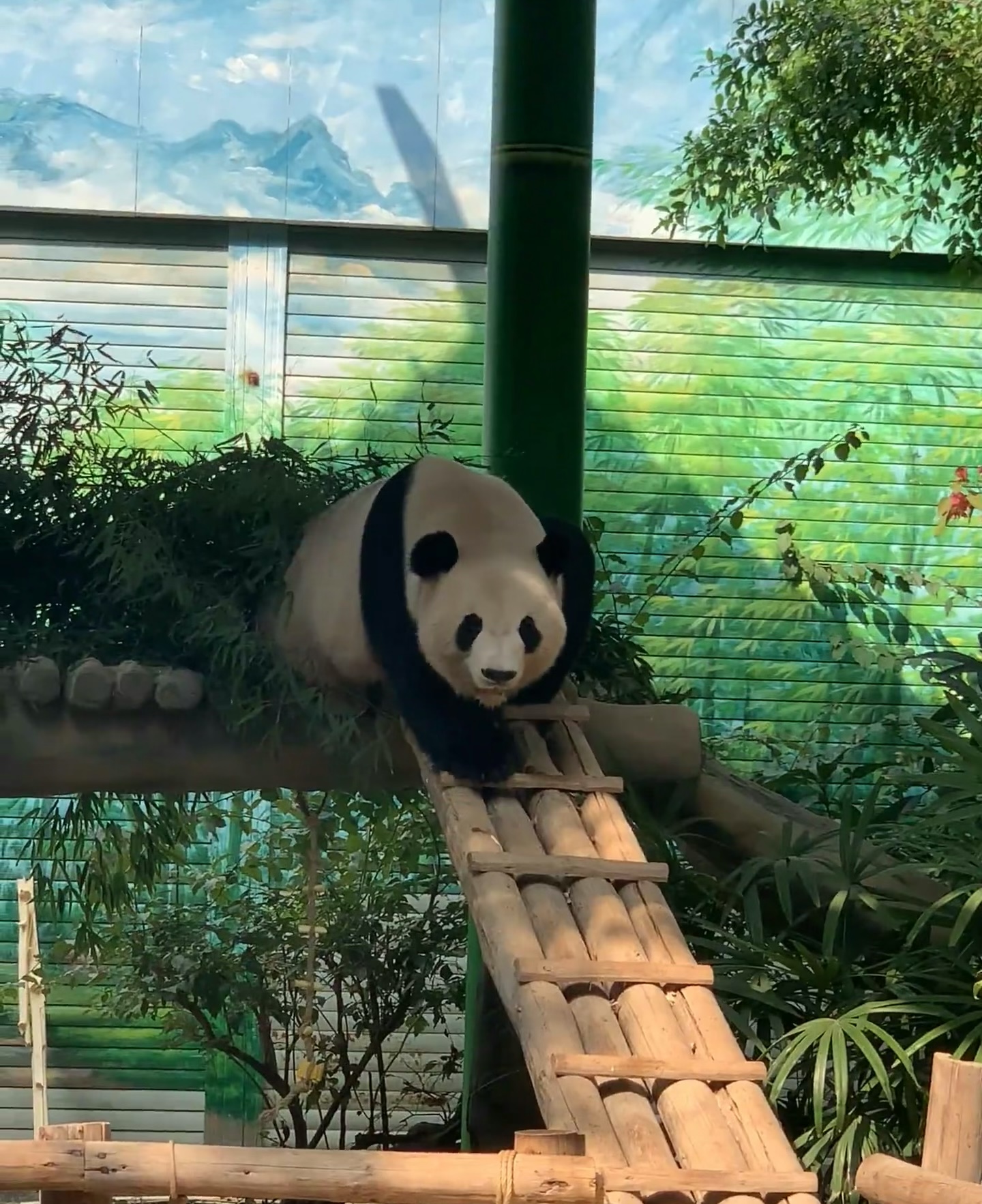 7天5晚 印象福建 7D5N IMAGE FUJIAN