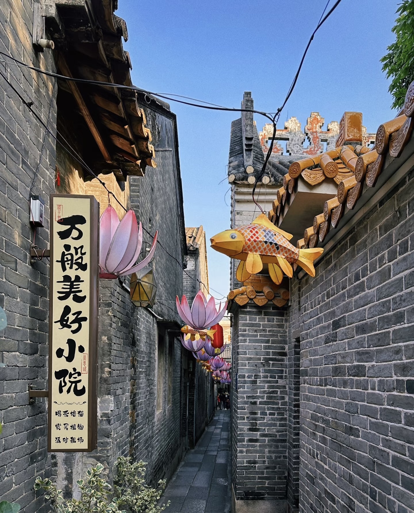 7天5晚 吃在广州. AI 在深圳 (7D5N GOURMET GUANGDONG.AI SHENZHEN)