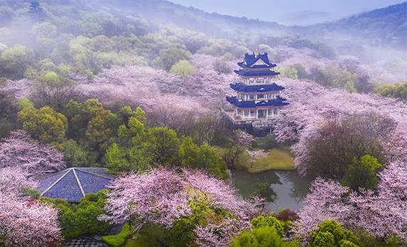 8天6晚 花漾江南.春暖花开之旅 (JIANGNAN FLORIST FESTIVAL) - EX PEN