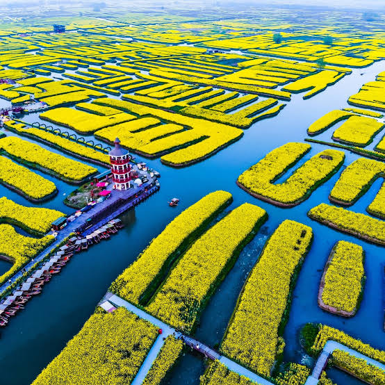 8天6晚 花漾江南.春暖花开之旅 (JIANGNAN FLORIST FESTIVAL) - EX PEN