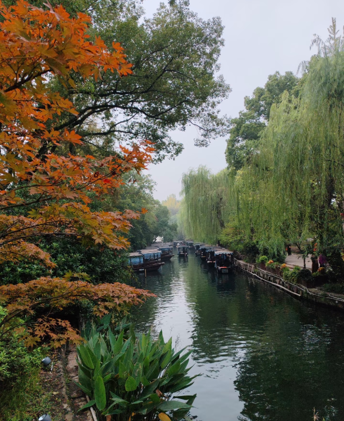 7天5晚 话江南 梦南浔 7D5N DREAMLIKE JIANGNAN+WATERTOWN HOMESTAY