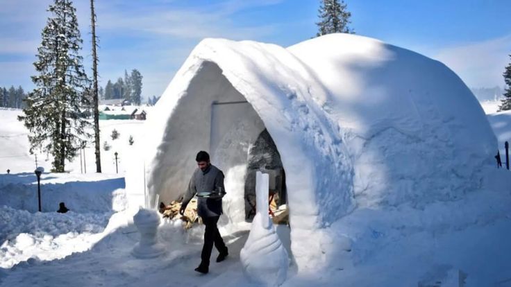 Igloo Café