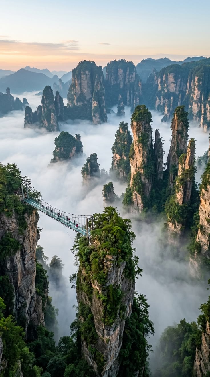 AVATAR WONDERLAND: ZHANGJIAJIE