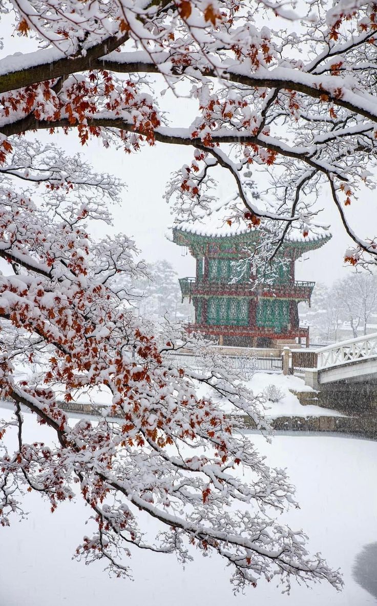 Gwanghwamun Gate