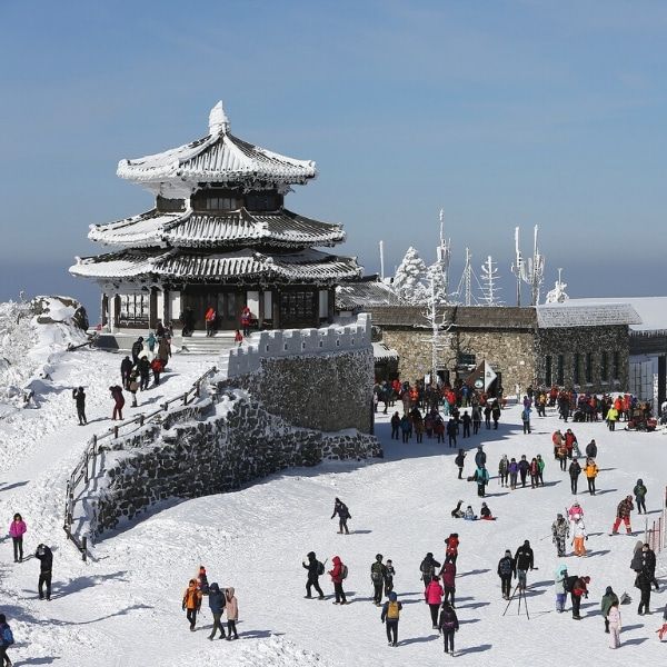 ENCHANTING KOREA (WINTER)