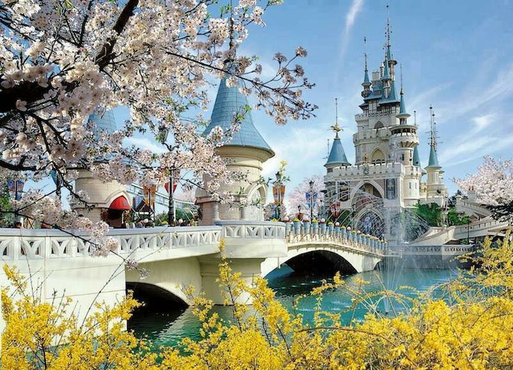 KOREA + EVERALAND THEME PARK