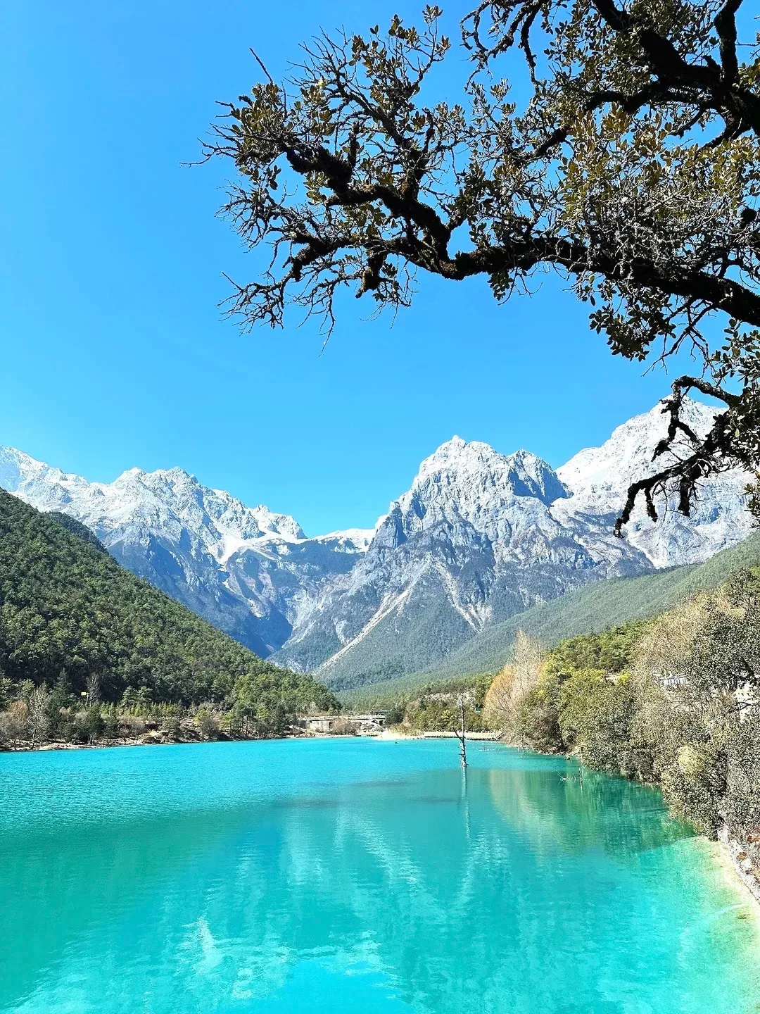 9天 昆明+泸沽湖 KUNMING+LUGU LAKE