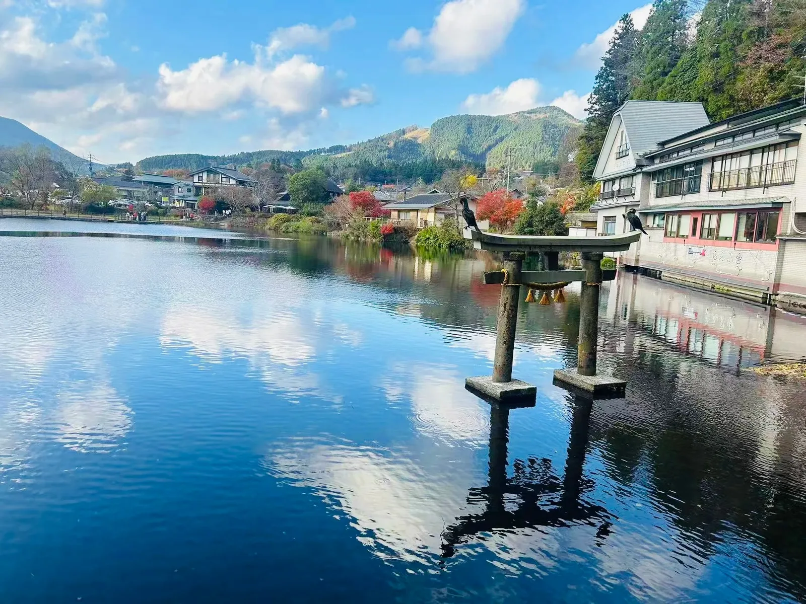 9天 日本九州秋季之旅