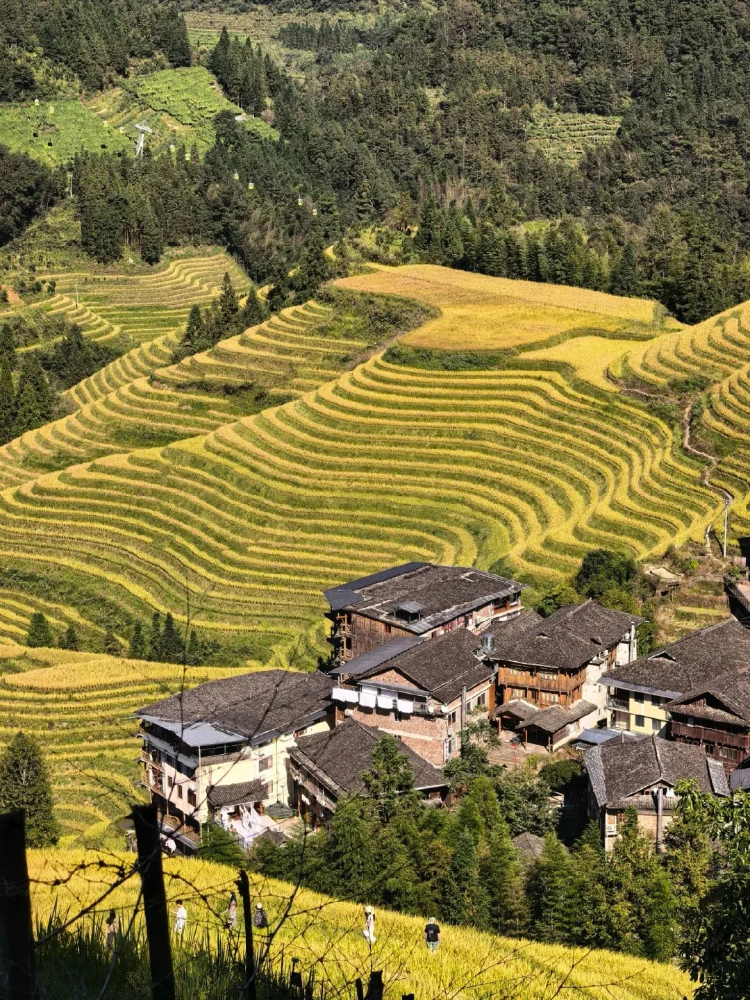 8天 古晋直飞贵州 (贵州遇见桂林)