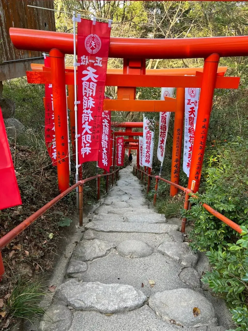 9天 日本九州秋季之旅