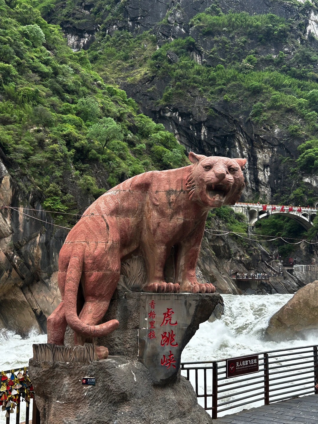 虎跳峡 | Tiger Leaping Gorge