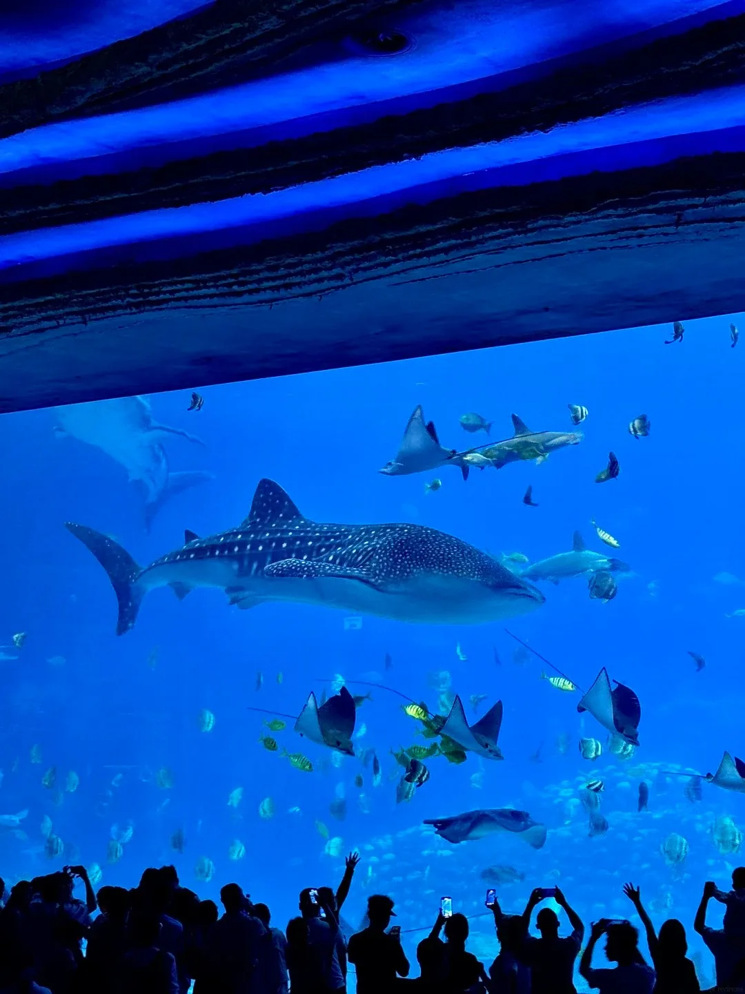 珠海海洋王国