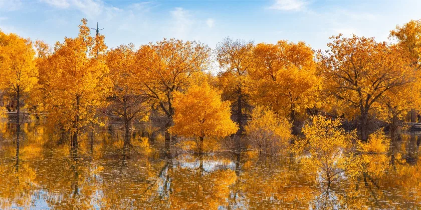South Xinjiang 10D9N