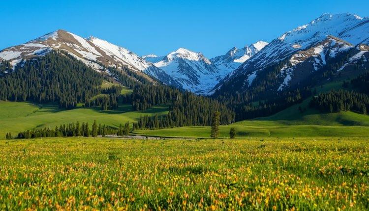 North Xinjiang 10D9N