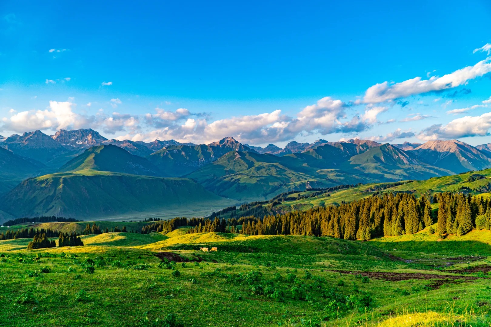 11D9N WANDERLUST NORTHERN XINJIANG SUMMER  ( 11天9晚 漫游北疆  夏季 ）