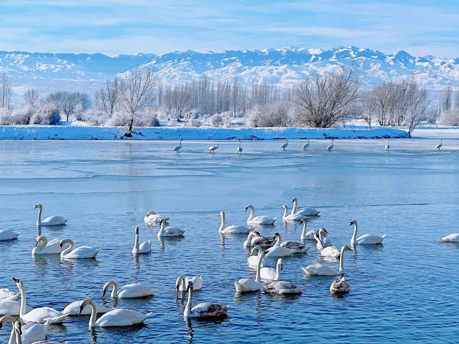 WANDERLUST NORTHERN XINJIANG IN WINTER 