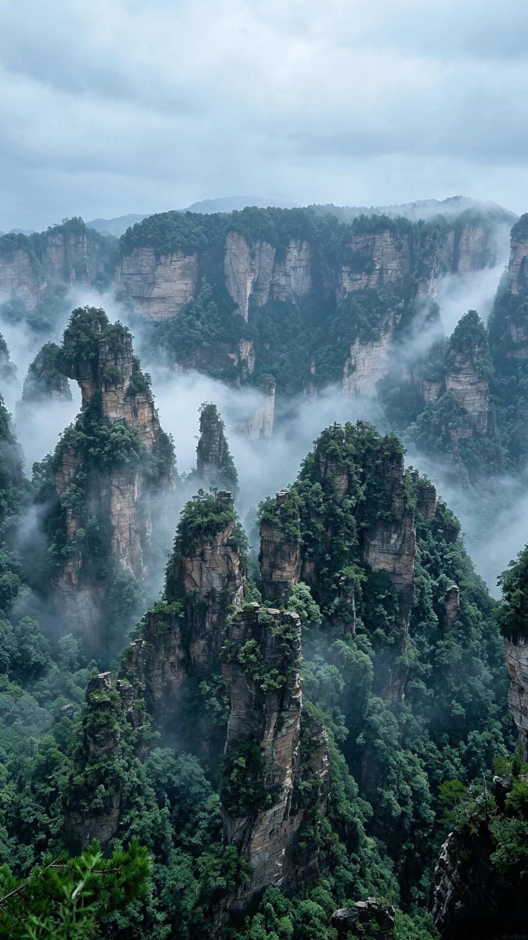 WANDERLUST ZHANGJIAJIE