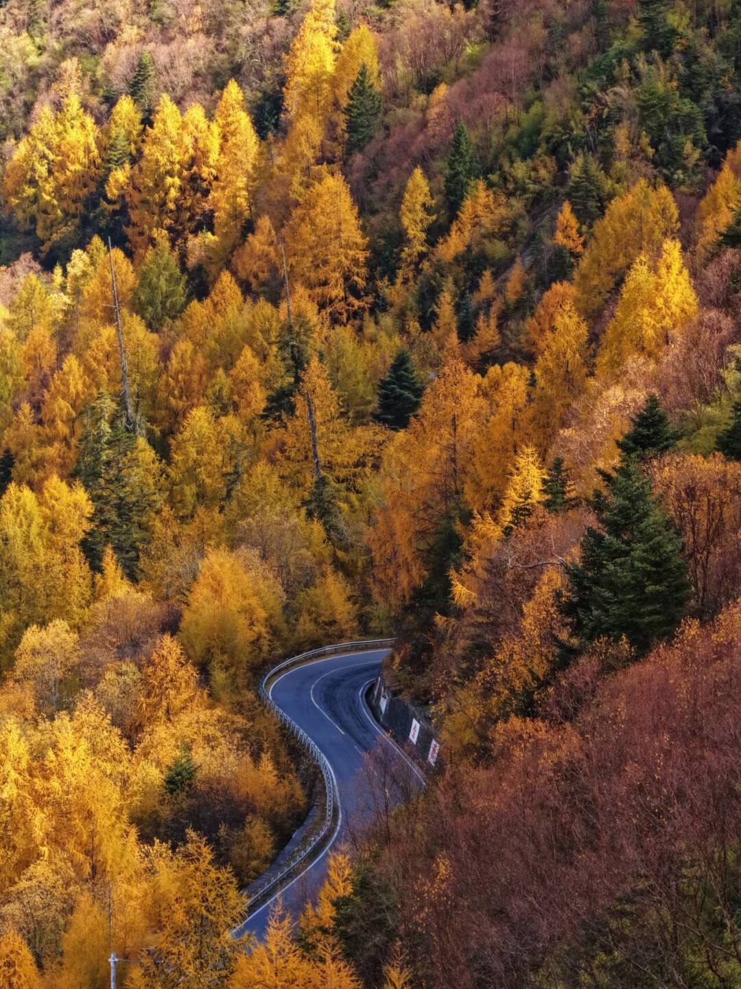 WANDERLUST TIBET - AUTUMN