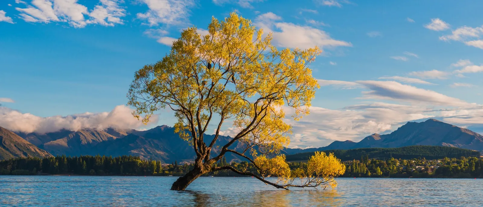 11D9N WANDERLUST NEW ZEALAND - South & North ( 11天9晚 漫游新西兰 )