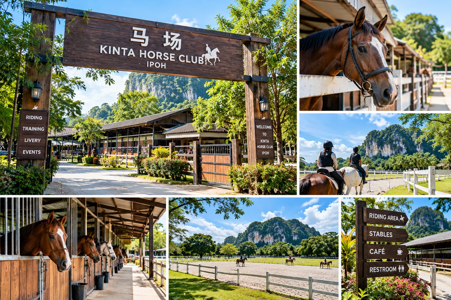 🐎 怡保马场（Ipoh Horse Ranch）