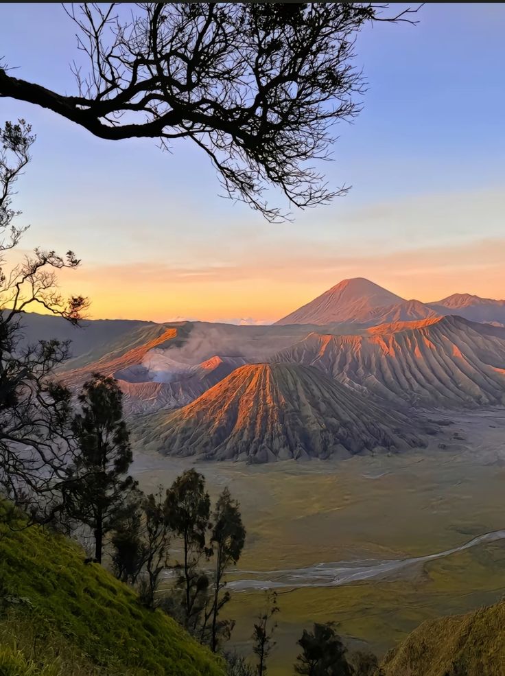 BROMO