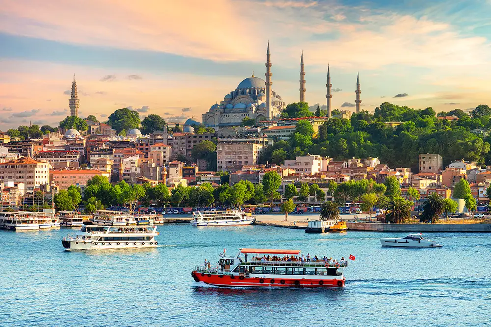 CLASSIC TURKEY